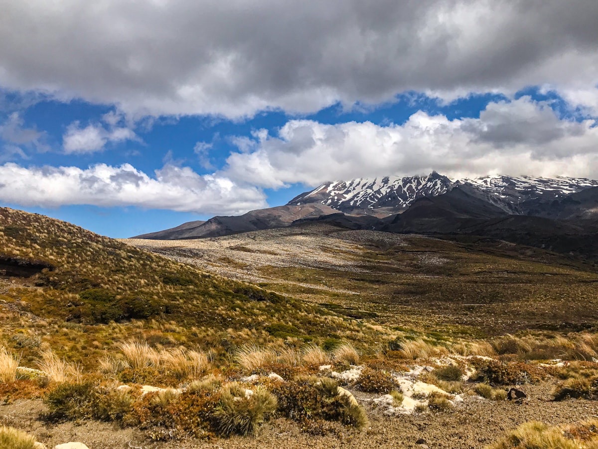 A snow-capped volcano rising over the tussock of the Central Plateau beside the Desert Road on State Highway 1